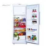 یخچال فریزر بالا پارس 13 فوت مدل REFST170 WD - تصویر 3