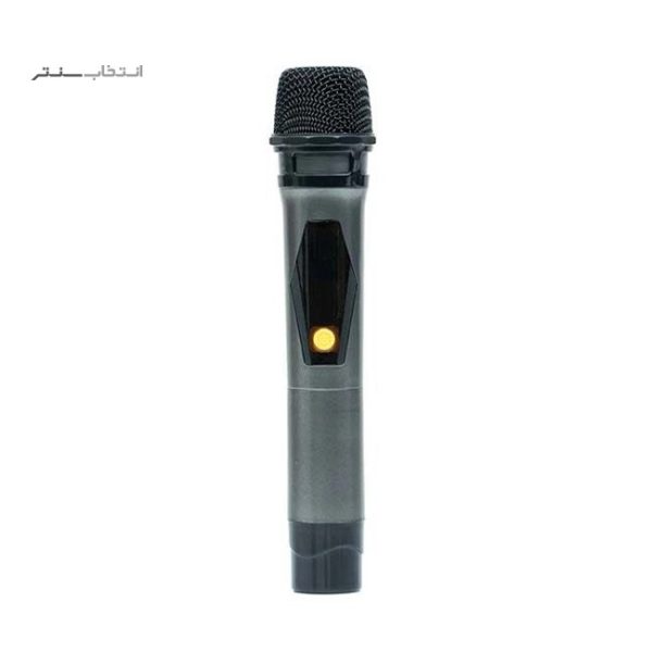 اسپیکر بلوتوثی میکرولب مدل BT-1204 - Image 2