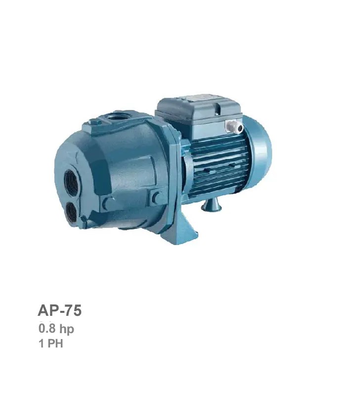 pentax-electro-pump-ap-75 الکتروپمپ خودمکش تکفاز پنتاکس مدل AP-75 - Image 1
