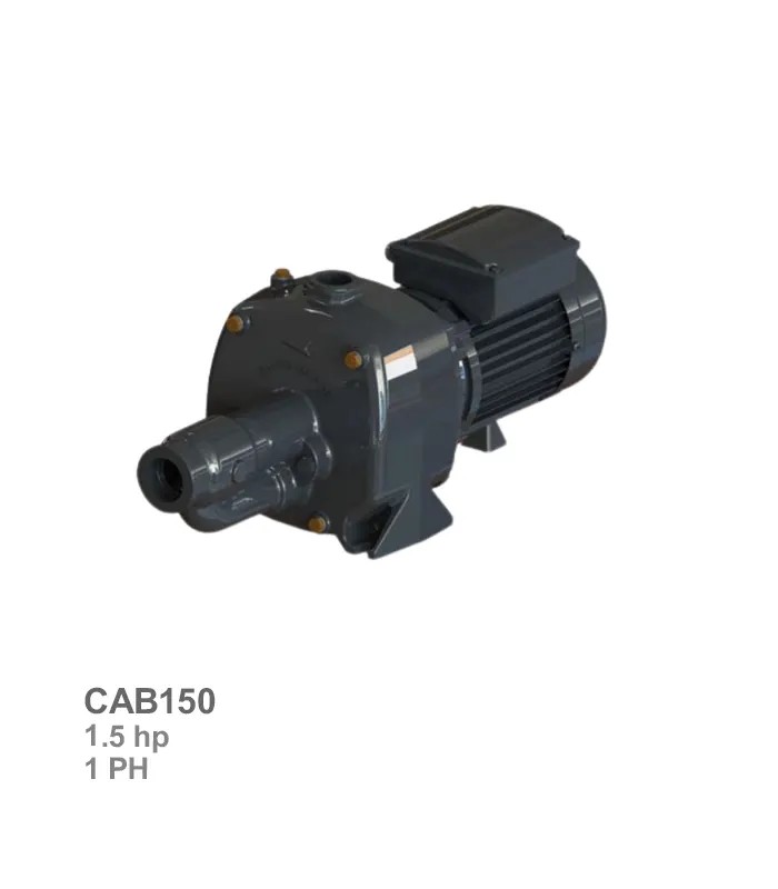 semnan-energy-water-pump-cab150 پمپ آب دو پروانه سمنان انرژی مدل CAB150 - تصویر 1