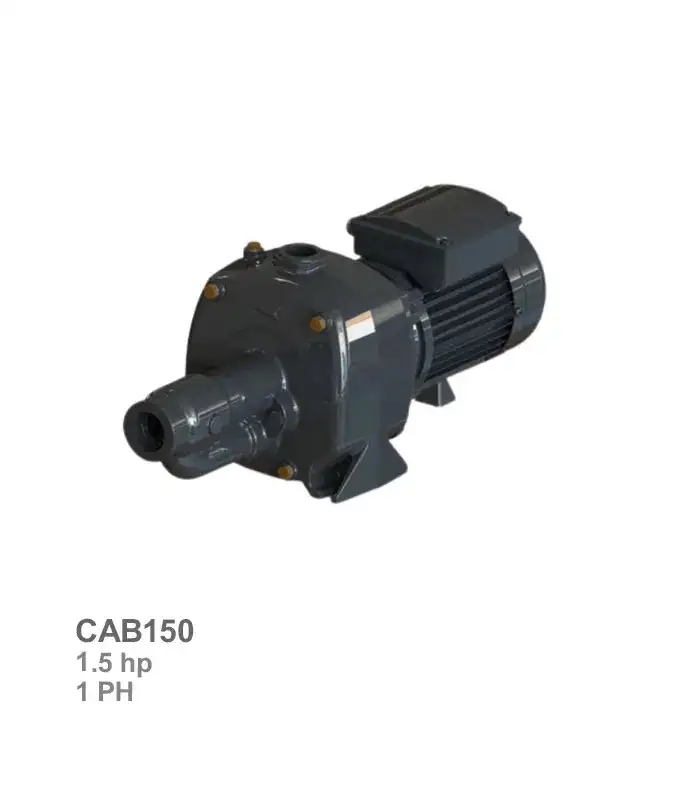 semnan-energy-water-pump-cab150 پمپ آب دو پروانه سمنان انرژی مدل CAB150 - تصویر 1
